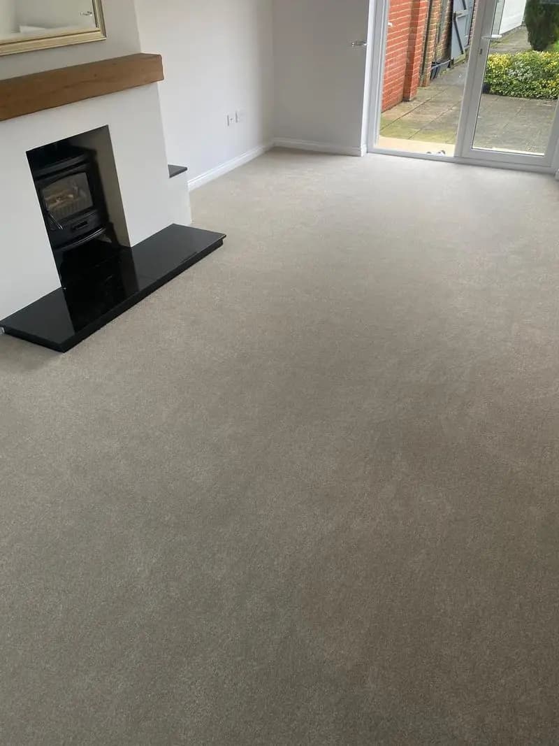 Luxurious Velvet Carpet in Thetford