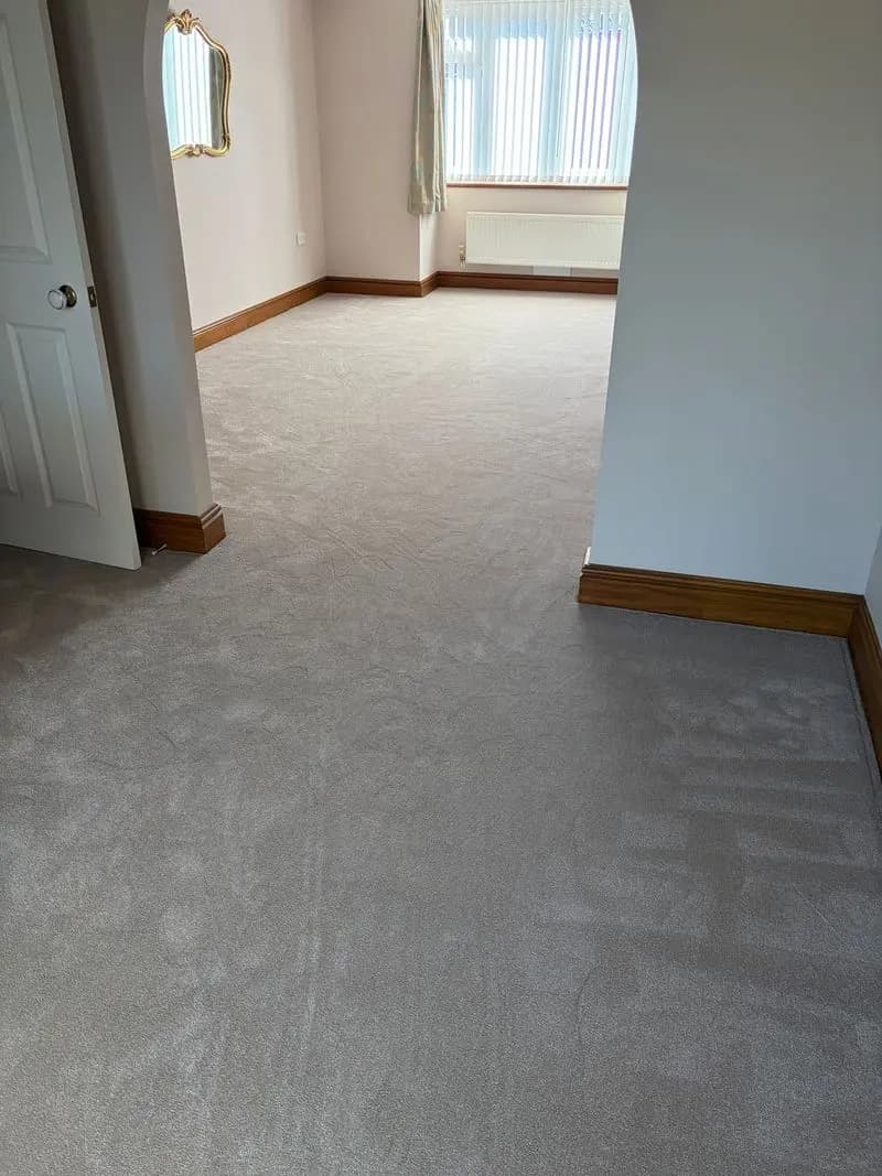 Luxurious Elysian Divine Velvet Carpet in North Walsham