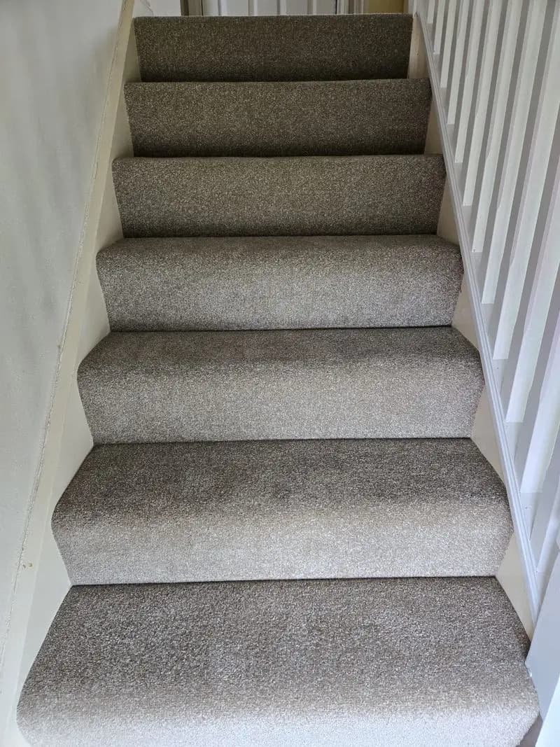 Value Twist Carpet Fitted in North Walsham