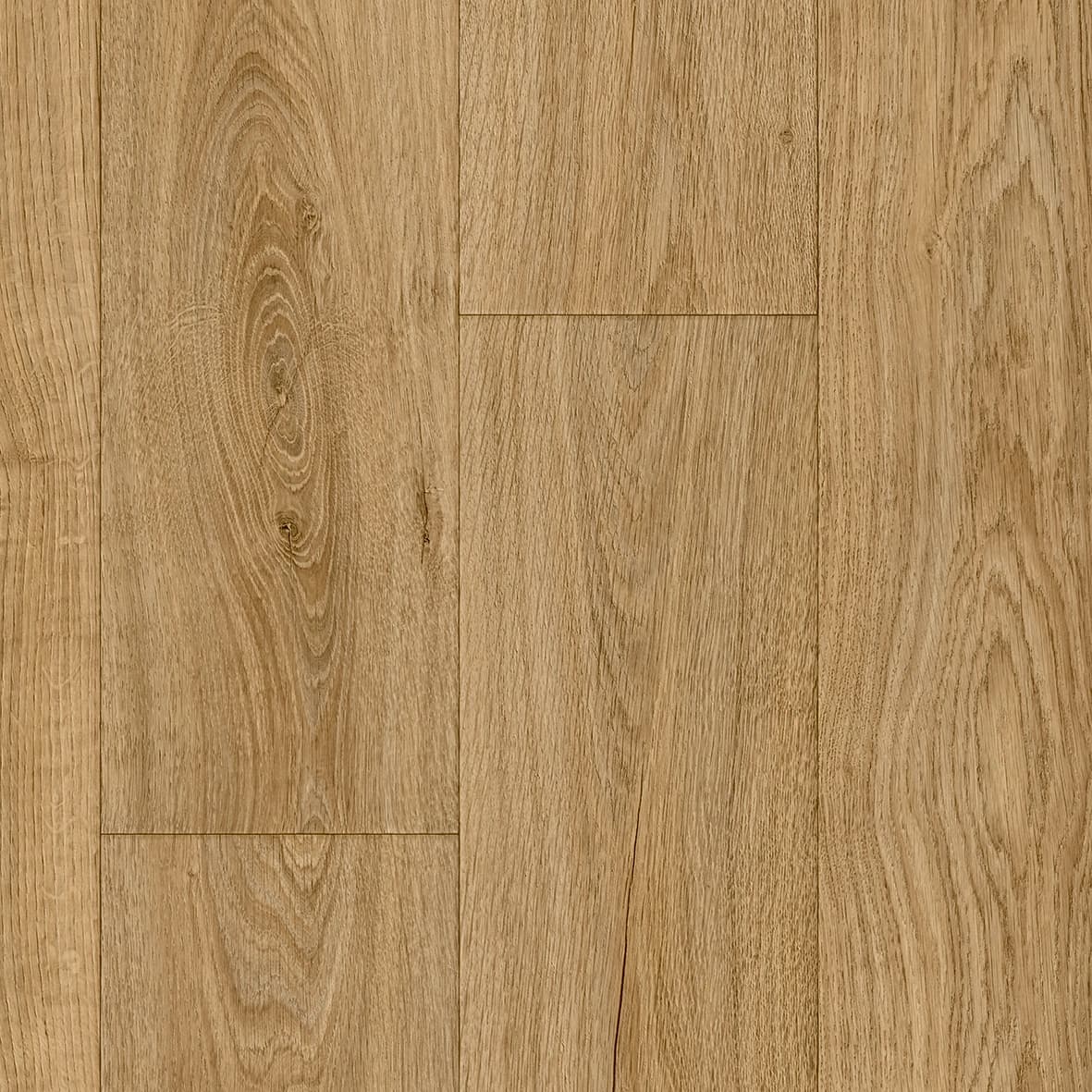 Urban Ontario OTIS 65
