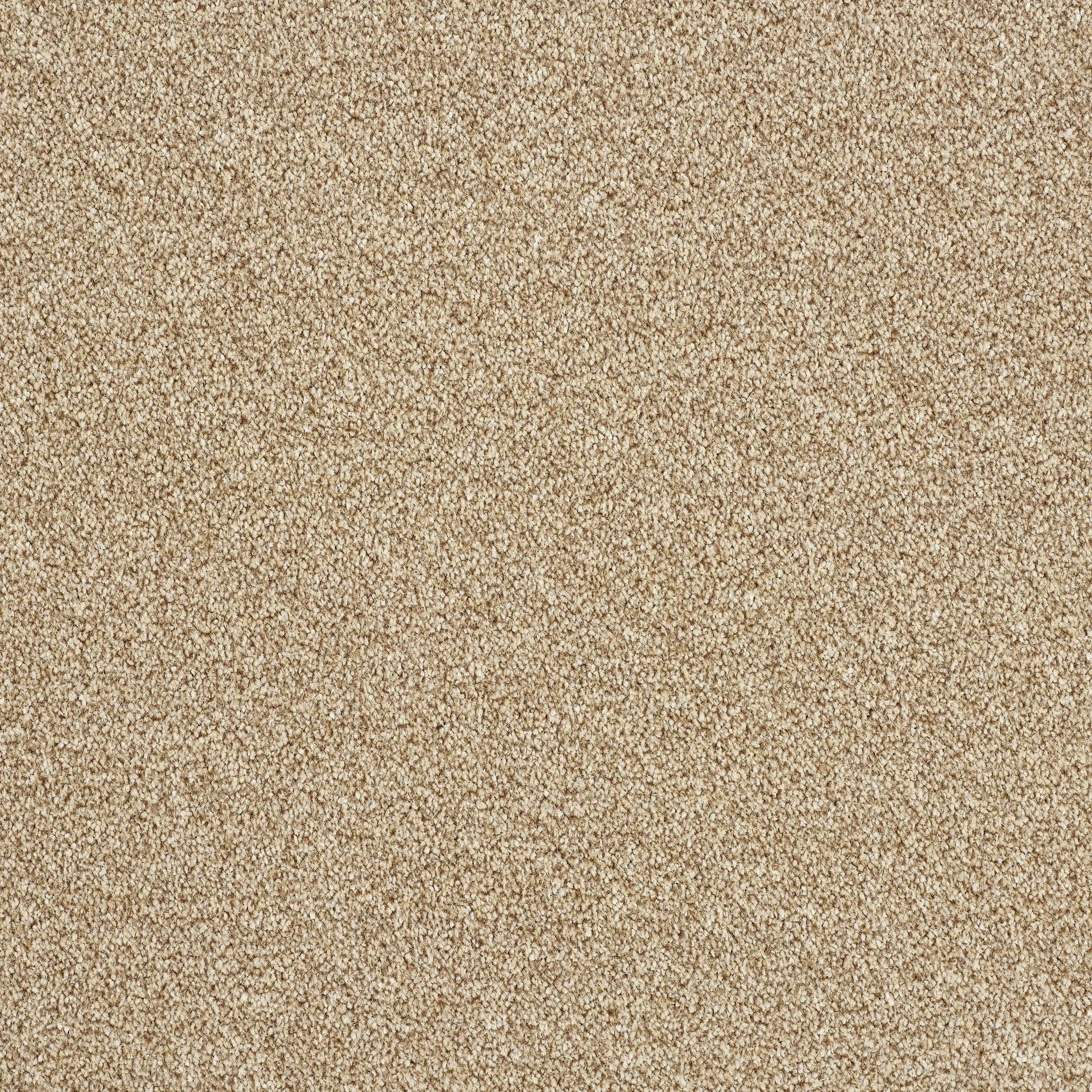 14161-05_THATCHED ROOF_result