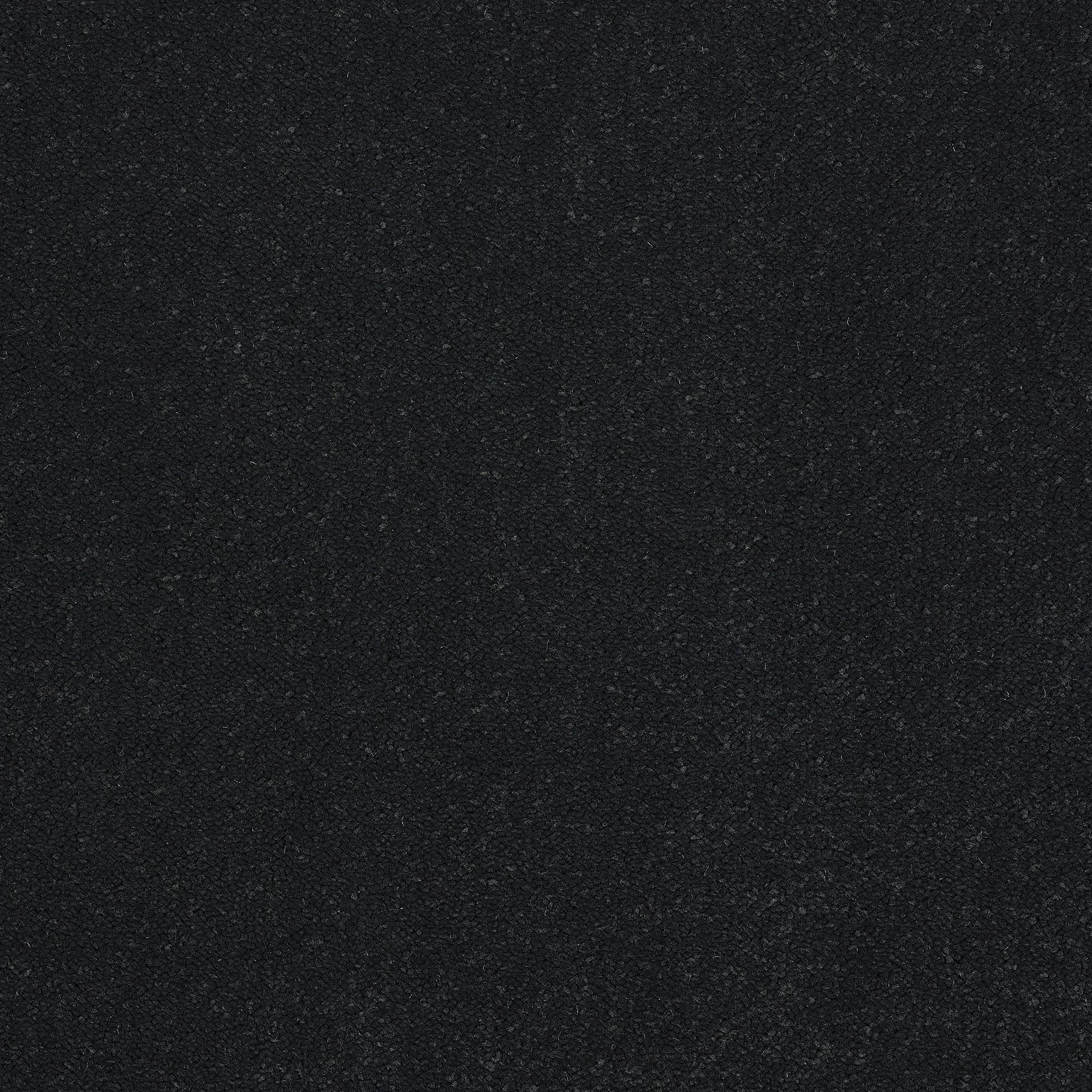 13955-01_BLACK RAVEN_result