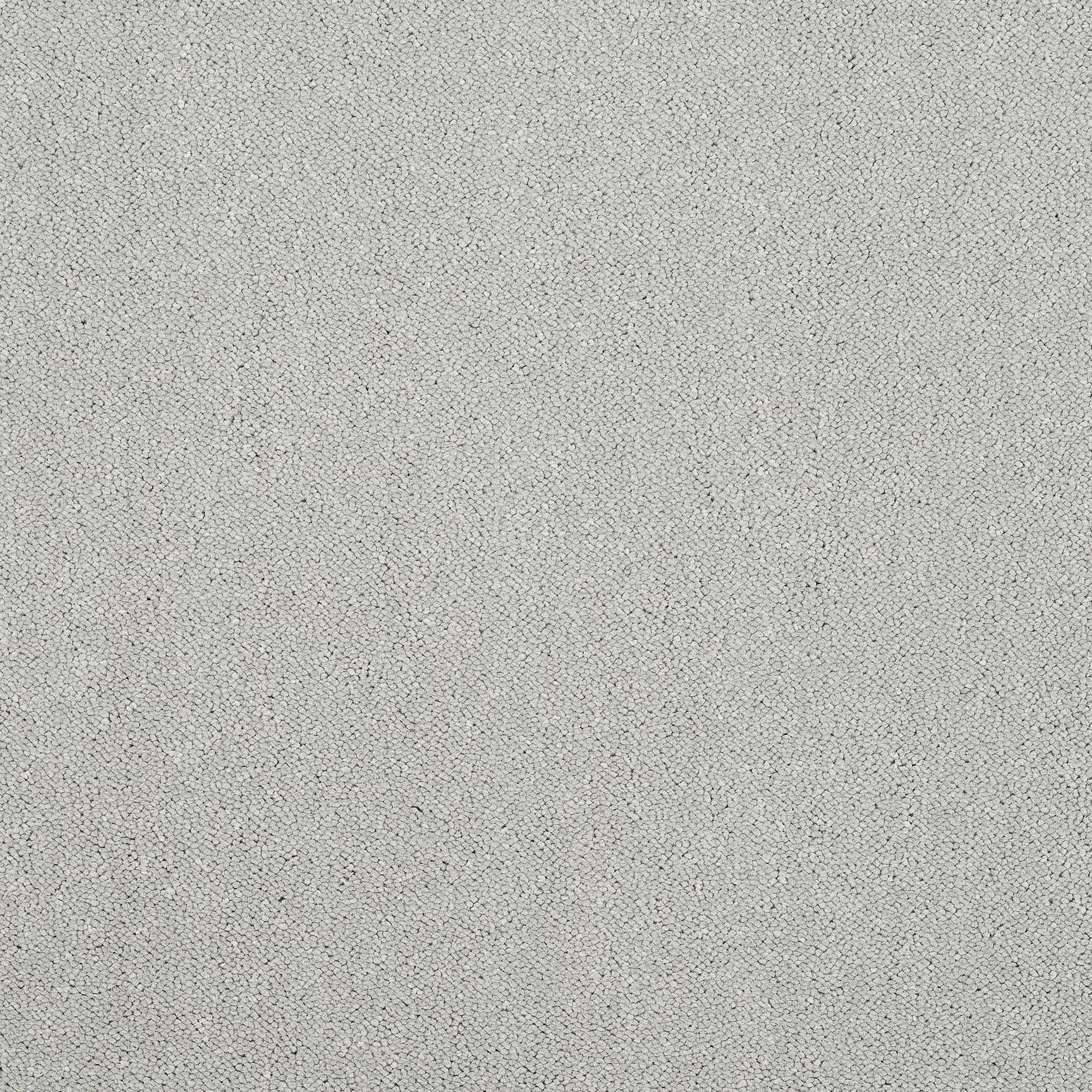 13955-04_TUNDRA FROST_result
