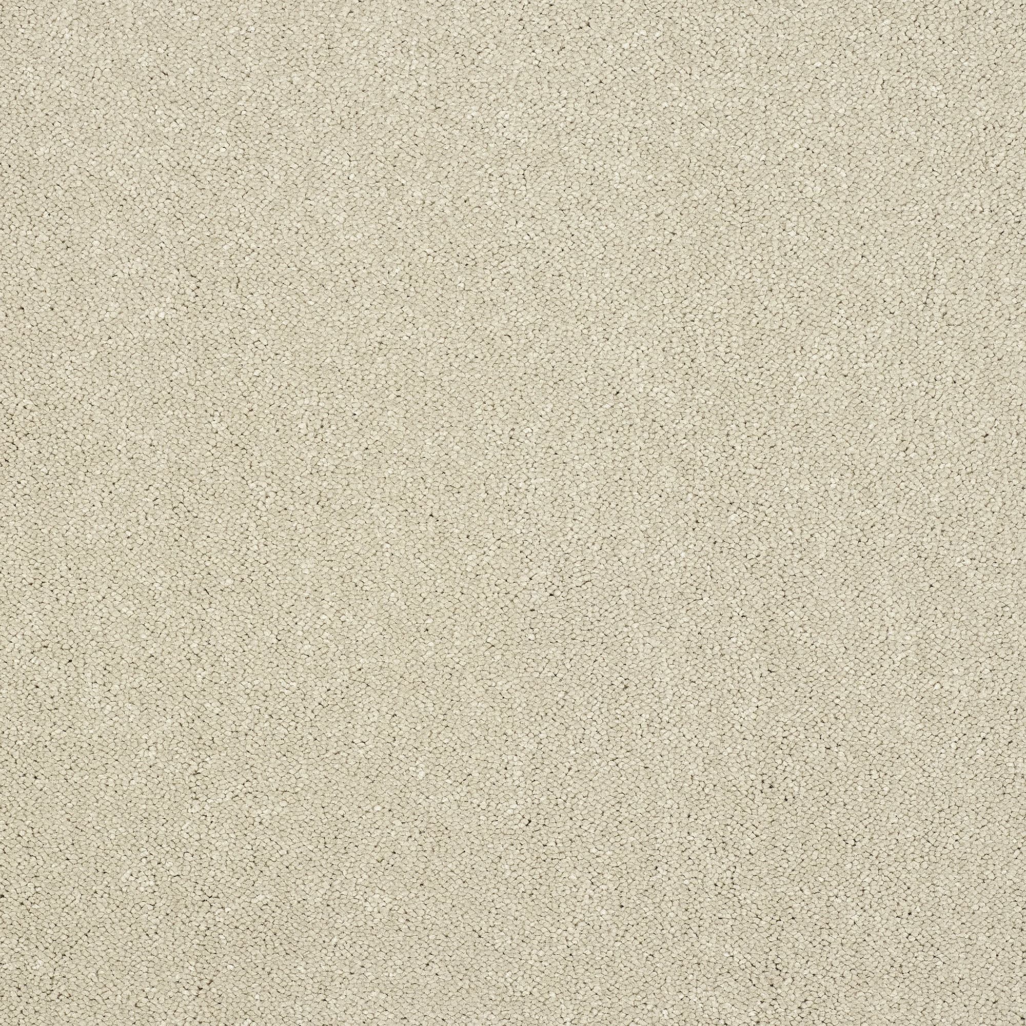 13952-14_TURTLE DOVE_result