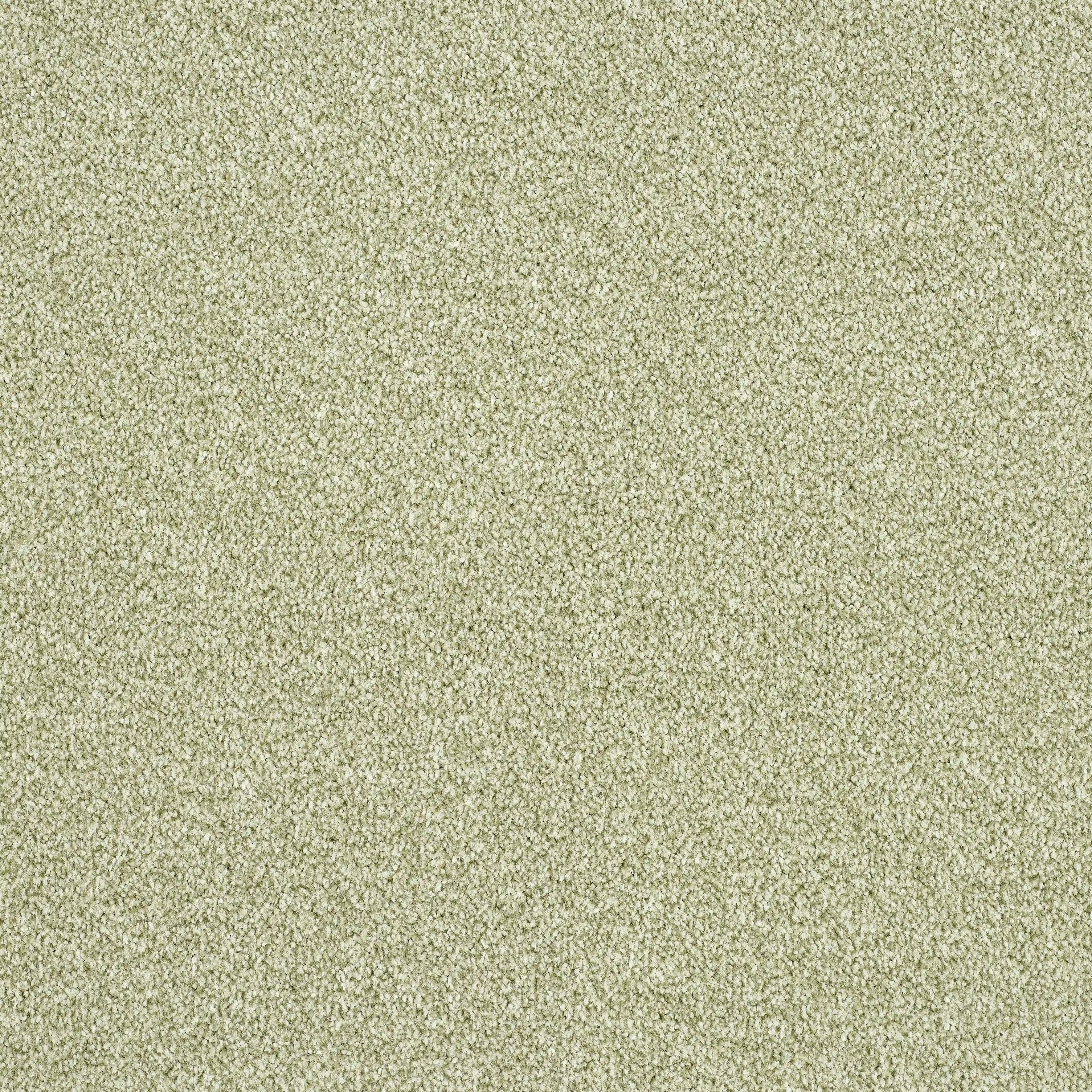 14158-21_SPRING BUD_result