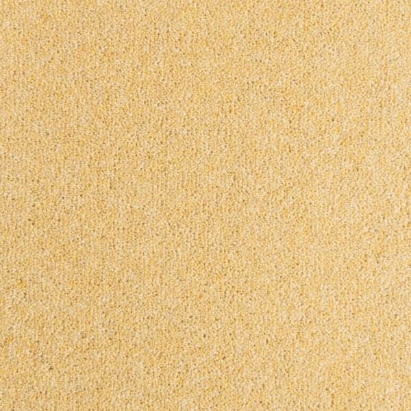 Penthouse-Carpets-Seasons-Sunrise-40oz-1-600x600