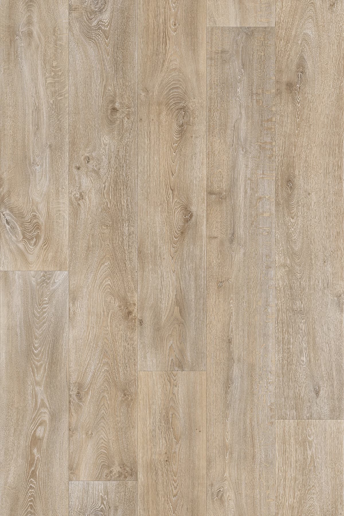 Swedish Oak texas