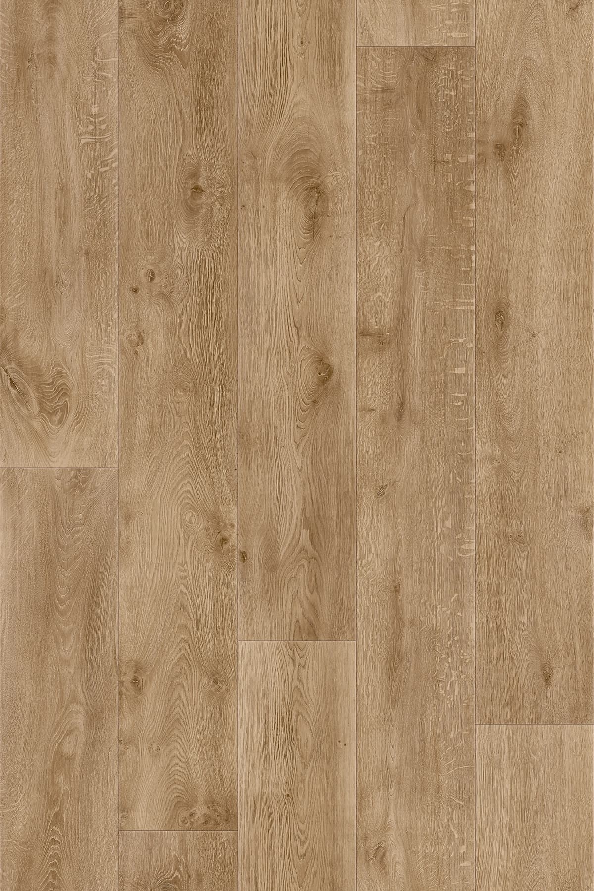 Warm Oak texas oak