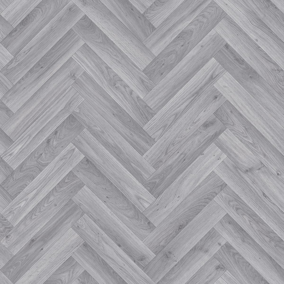 Grey Elm oak