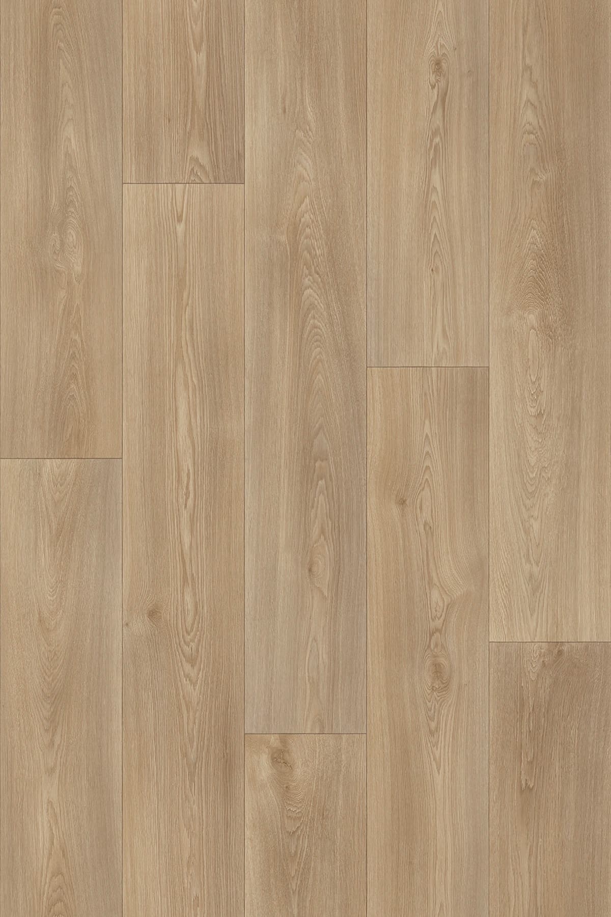 Hazlenut Brown_columbian oak 161m