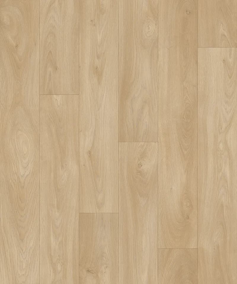 Merlot Oak