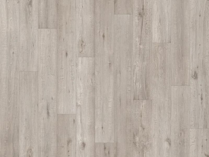 Tasmanian Oak
